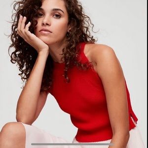 Aritzia Wilfred Crevier Knit Top